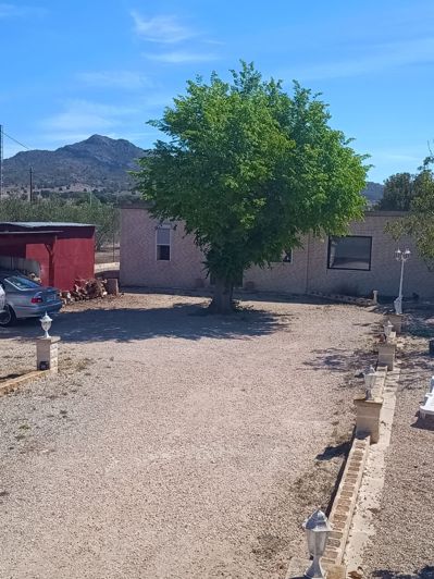 Image No.22-Villa de 3 chambres à vendre à Salinas