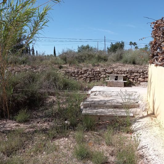 Image No.10-Terre à vendre à Novelda