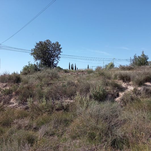 Image No.11-Terre à vendre à Novelda