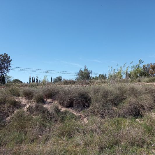 Image No.12-Terre à vendre à Novelda