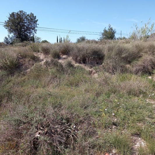 Image No.14-Terre à vendre à Novelda