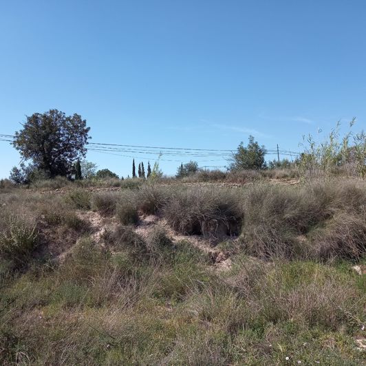 Image No.16-Terre à vendre à Novelda