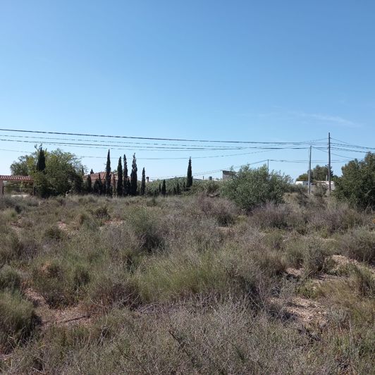 Image No.2-Terre à vendre à Novelda