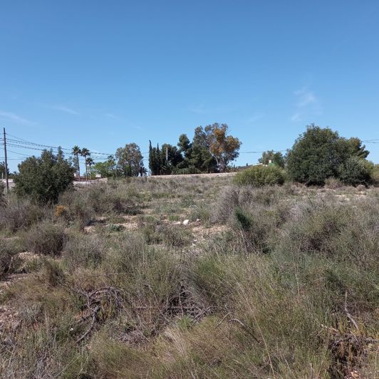 Image No.4-Terre à vendre à Novelda