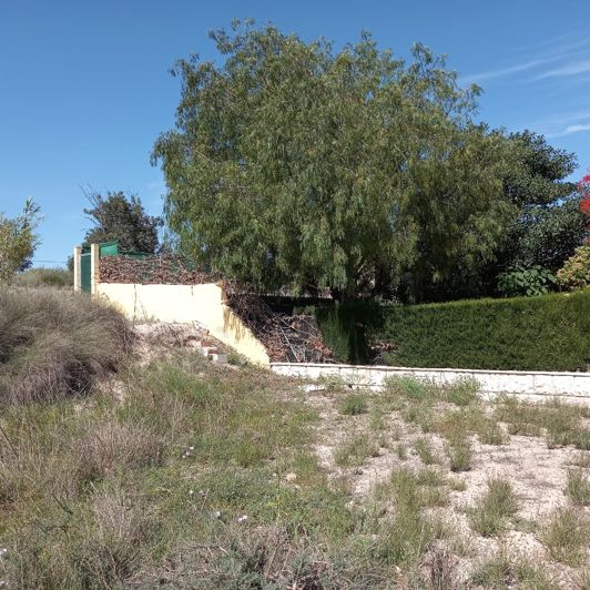 Image No.5-Terre à vendre à Novelda