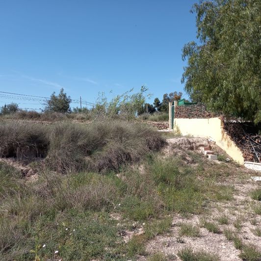 Image No.8-Terre à vendre à Novelda