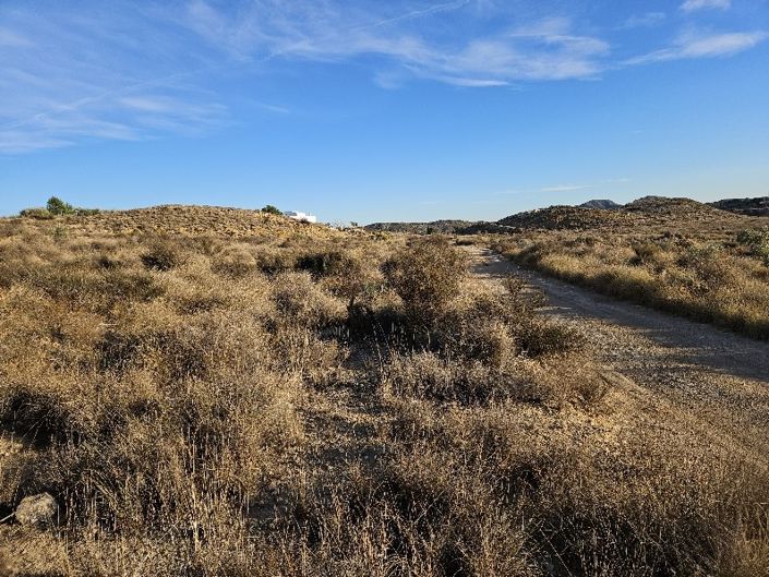 Image No.2-Terre à vendre à Elda