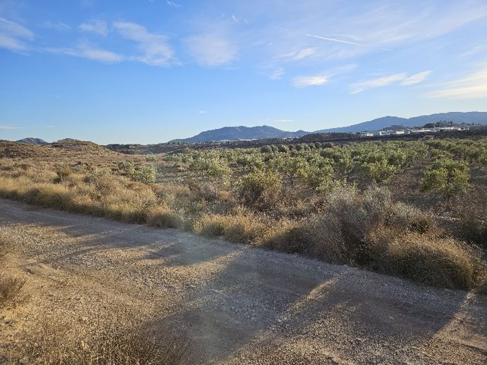 Image No.4-Terre à vendre à Elda