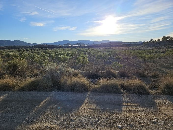 Image No.5-Terre à vendre à Elda