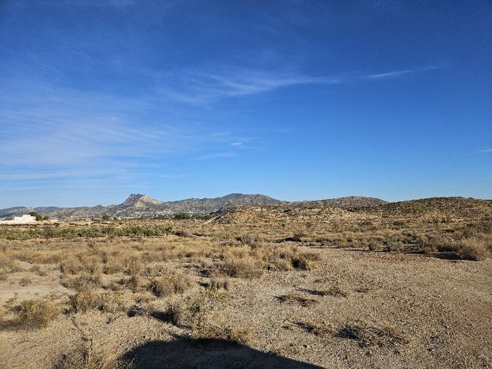 Image No.5-Land for sale