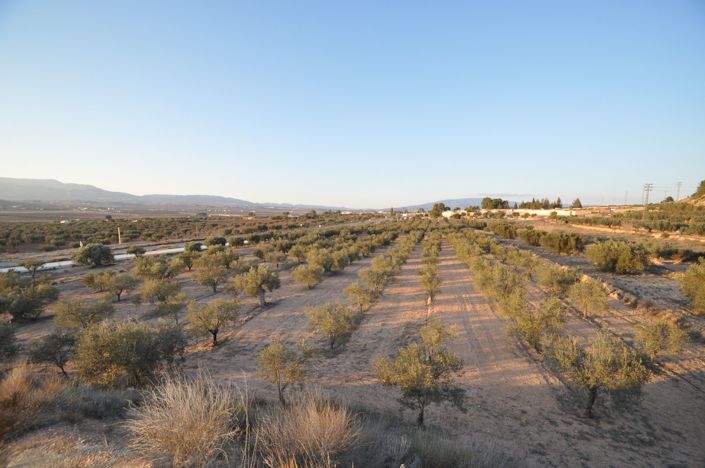 Image No.2-Land for sale