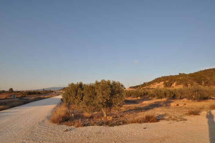 Image No.3-Land for sale