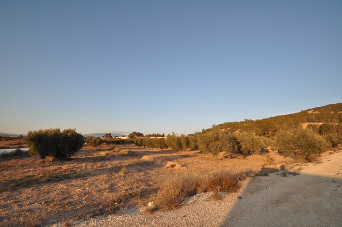 Image No.4-Land for sale