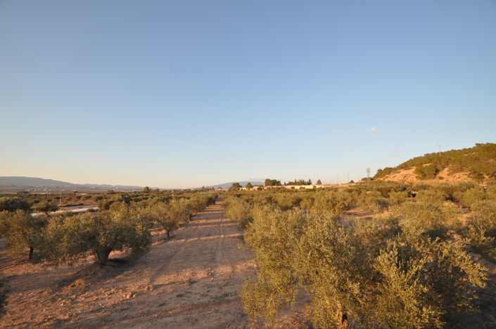 Image No.5-Land for sale