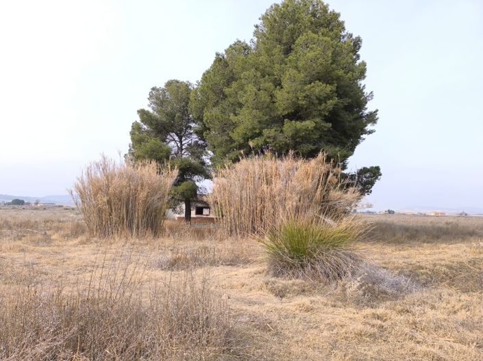 Image No.11-Propriété de 2 chambres à vendre à Villena