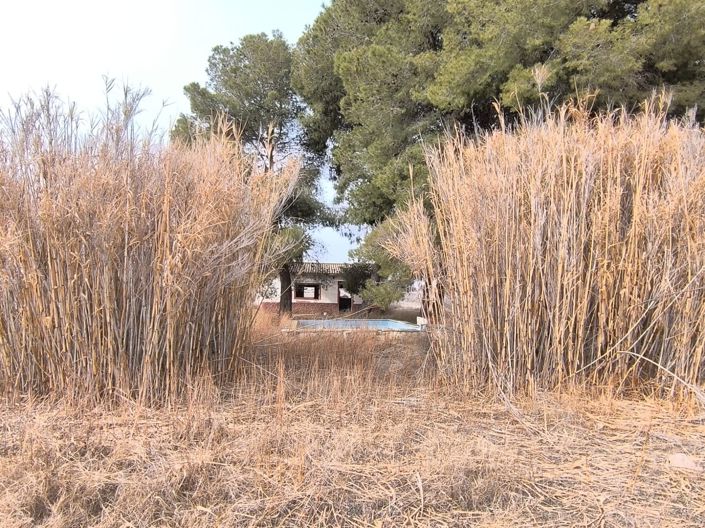 Image No.4-Propriété de 2 chambres à vendre à Villena