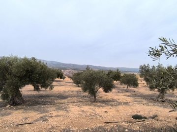 f37309922b4ece46