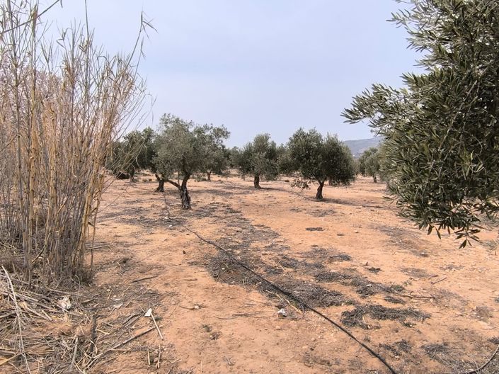 Image No.2-Land for sale