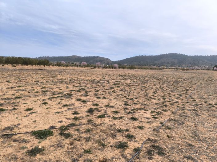 Image No.4-Land for sale