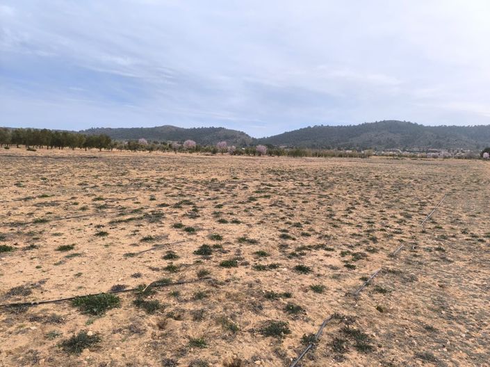 Image No.4-Land for sale