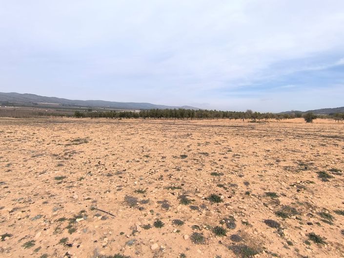 Image No.6-Land for sale