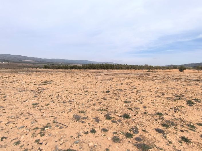 Image No.6-Land for sale