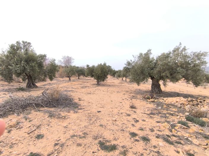 Image No.8-Land for sale