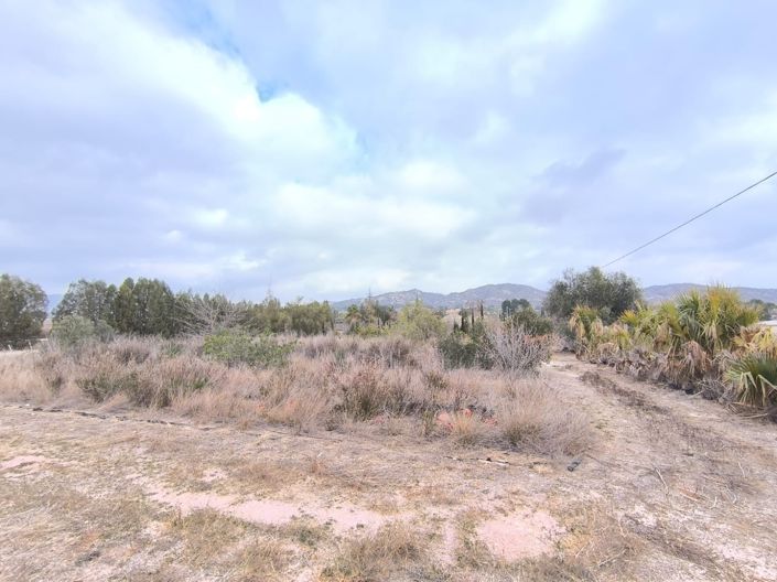 Image No.16-Commercial à vendre à Aspe