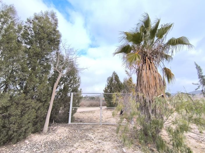 Image No.17-Commercial à vendre à Aspe