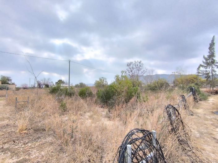 Image No.19-Commercial à vendre à Aspe