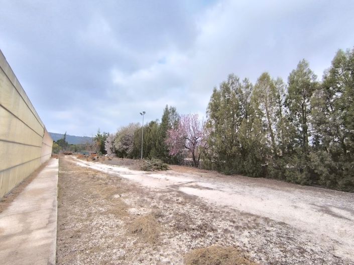 Image No.21-Commercial à vendre à Aspe