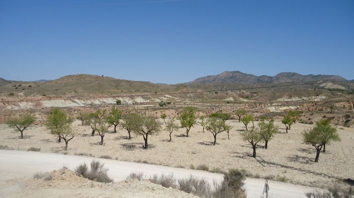 Image No.1-Land for sale