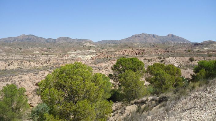 Image No.4-Land for sale