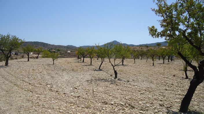 Image No.5-Land for sale