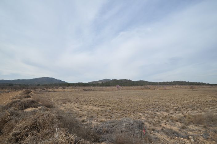 Image No.1-Land for sale