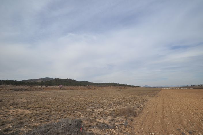 Image No.2-Terre à vendre à Monóvar