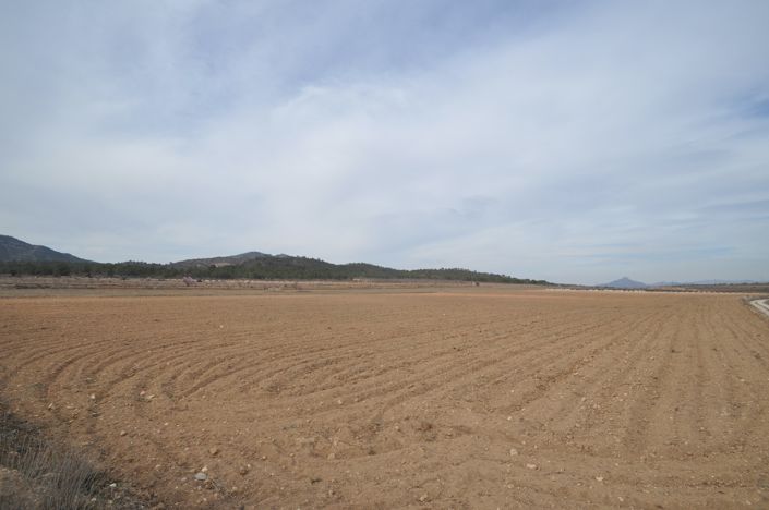 Image No.1-Terre à vendre à Monóvar