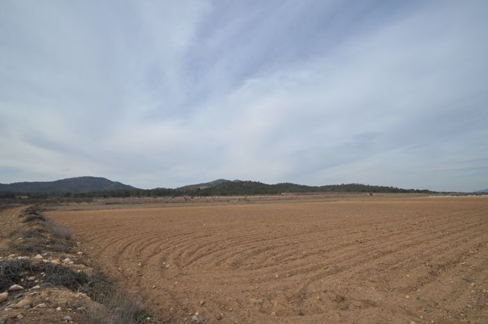 Image No.3-Terre à vendre à Monóvar