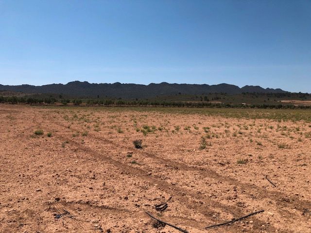 Image No.3-Land for sale