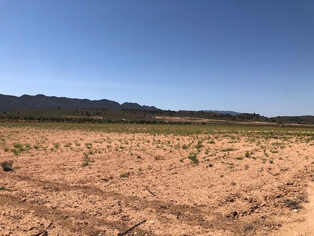 Image No.4-Land for sale