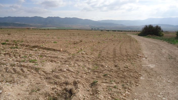 Image No.4-Land for sale