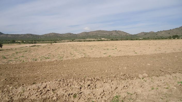 Image No.5-Land for sale