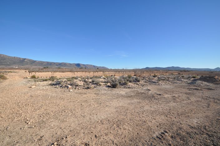 Image No.2-Terre à vendre à Pinoso