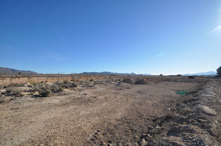 Image No.3-Terre à vendre à Pinoso