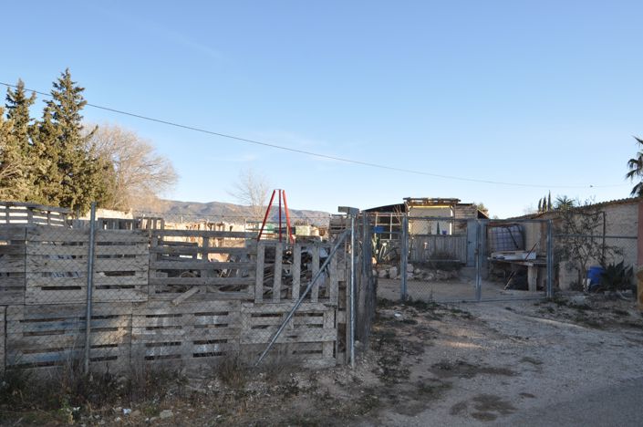 Image No.2-Terre à vendre à Pinoso