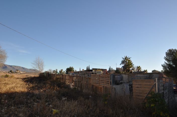 Image No.3-Terre à vendre à Pinoso