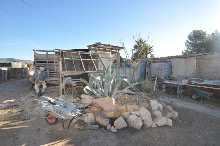 Image No.4-Terre à vendre à Pinoso