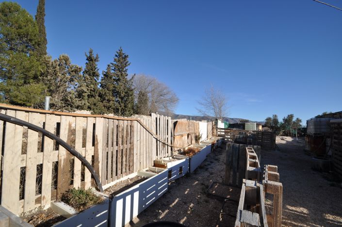 Image No.5-Terre à vendre à Pinoso