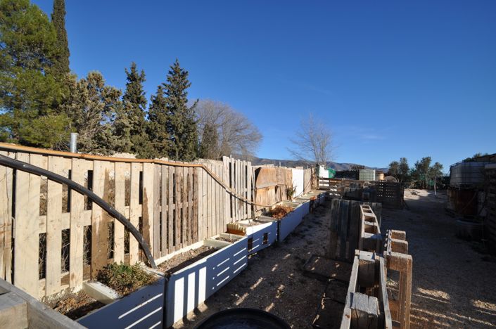 Image No.6-Terre à vendre à Pinoso