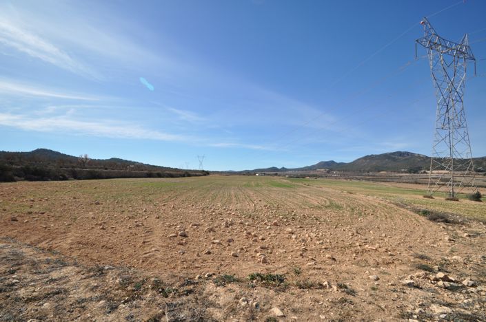 Image No.2-Land for sale